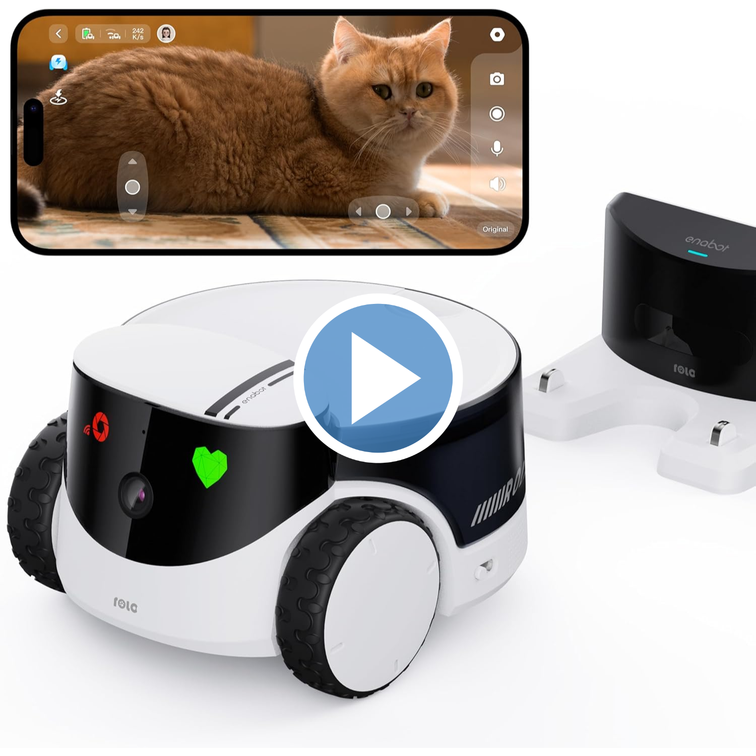 Robottino Smart per Animali Domestici